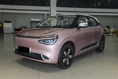 Dongfeng Nammi 01